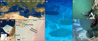 Discovery and chemical composition of the eastmost deep-sea anoxic brine pools in the Eastern Mediterranean Sea